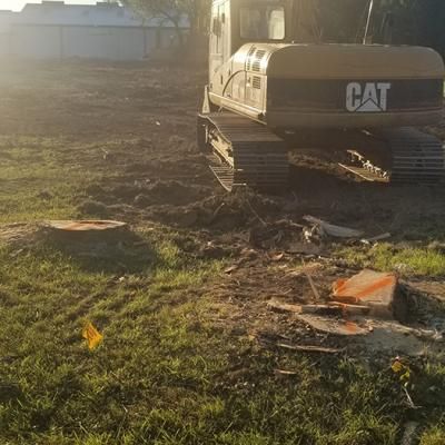 Big Stump Removal Before