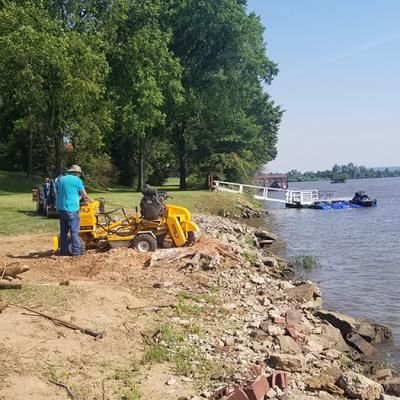 Shore Stump Removal